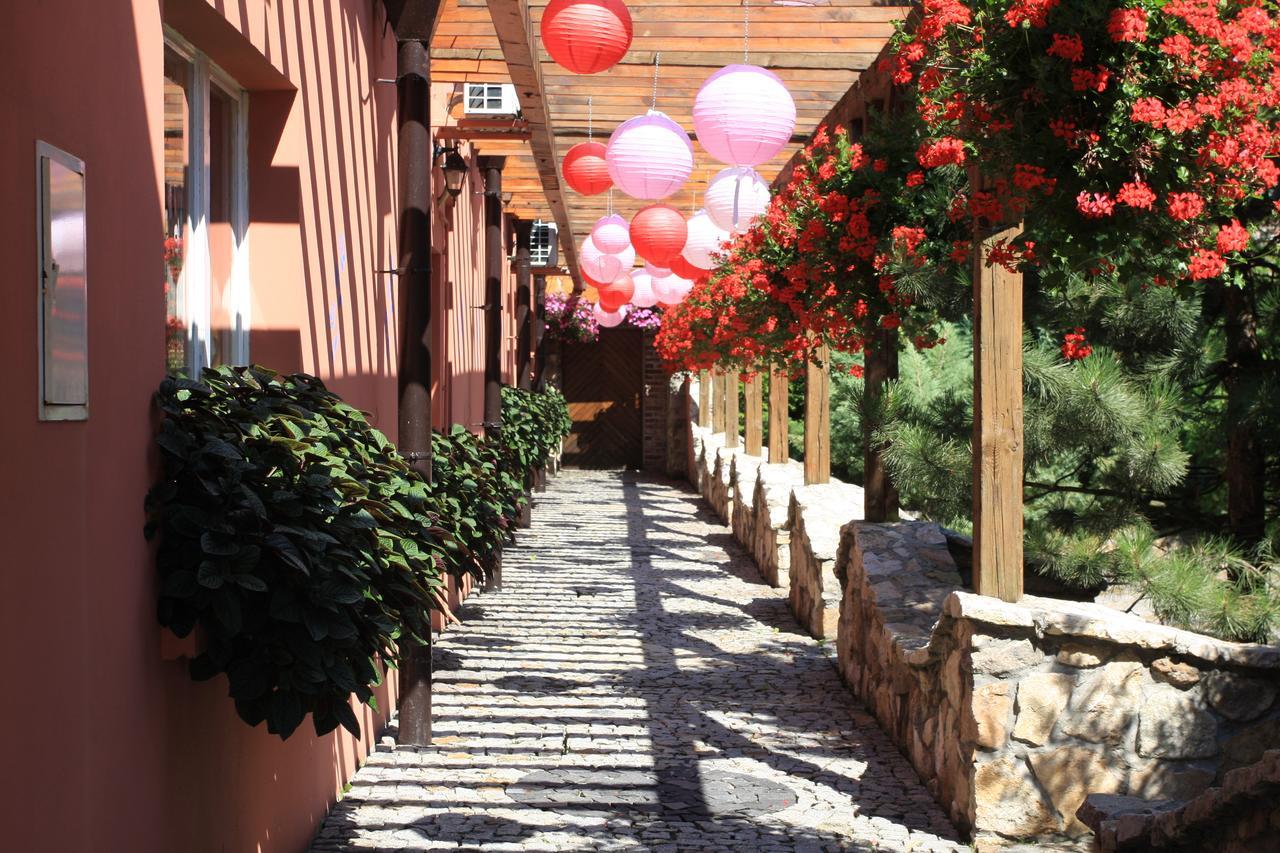 Hotel Restauracja Pustelnik Wisla Mala 외부 사진